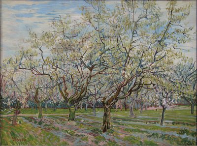 De witte boomgaard door Vincent van Gogh